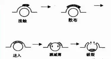 消泡機(jī)理